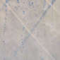 <First Impressions  thumbnail image  number four. Click to proceed to main image.>